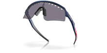 Load image into Gallery viewer, Oakley Sunglass _ Sutro Lite Sweep Troy Lee Designs Series - 0OO9465
